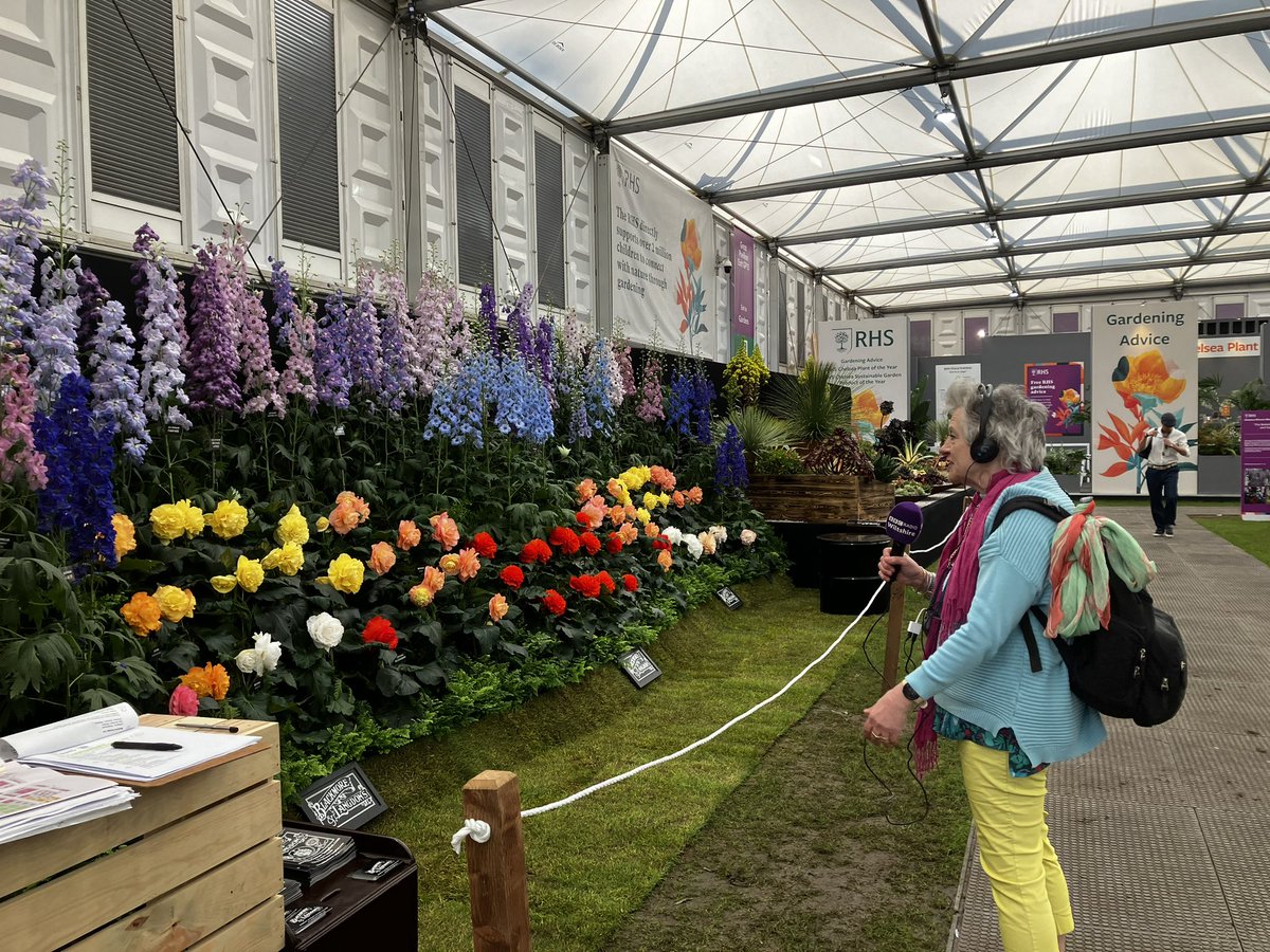 The Queen of #RHSChelsea @KarenJGardner delivering radio lives for @BBCWiltshire @bbcsomerset @BBCGlos @Radio_Newcastle @BBCJersey @BBCCambs @BBCDerby @BBCRadioLincs @BBCShropshire @bbchw @BBCNottingham @BBCSussex  @BBCLeeds @BBCSurrey 🌼 🌺 🌷