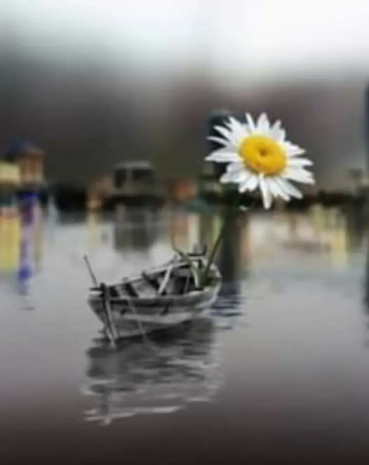 M. Adela González tweet media