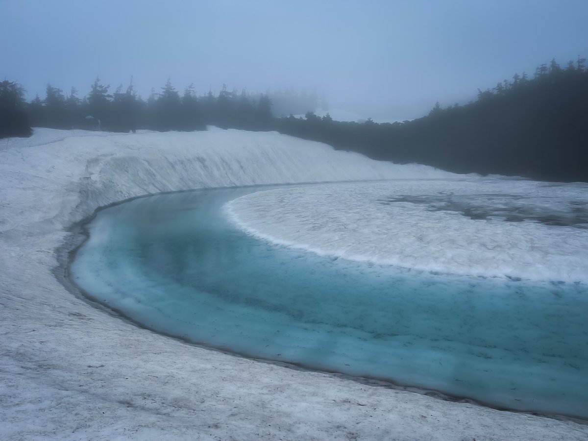 Matsumaz's tweet image. 結構な雨降ってましたが、この日しか来れないので八幡平のドラゴンアイ観てきました。
悪天候でも観光客が多かったです。3年前と比べると溶け方が均一で美しかったです。
晴れたら八幡平山頂まで行こうかと思いましたが今回も登頂叶わず。
#ドラゴンアイ #岩手県 #秋田県 #八幡平