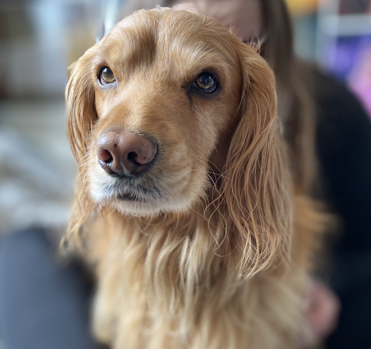 SamphireBay's tweet photo. @RevRichardColes Come to my house - we have coffee, dog and WiFi. I would even hoover. We live in the centre of the village - but anyone here would love you to come. The Old School Gallery is right up your street. And I have read and loved your books too 😊 https://t.co/1M3MFjvaCd