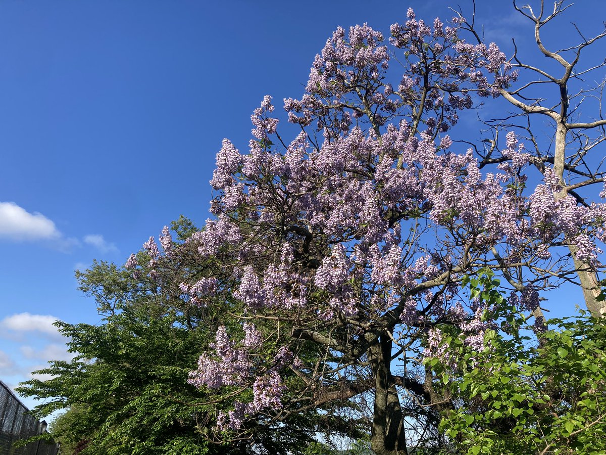 Russell 🐟 tweet media