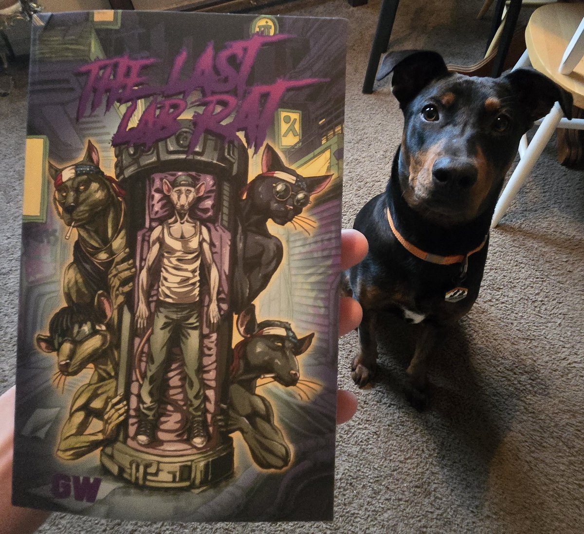 <a href="/GWtheLabRat/">G.W.</a> Finished last weekend, and it was amazing!!!  Buy!  You won't regret it.  $GANG supports $GANG!  <a href="/GutterCatGang/">Gutter Cat Gang</a> <a href="/YugenLBS/">Yugen.</a> <a href="/guttercattimes/">GutterCatTimes</a> <a href="/GutterToken/">GutterToken.com</a> #nft