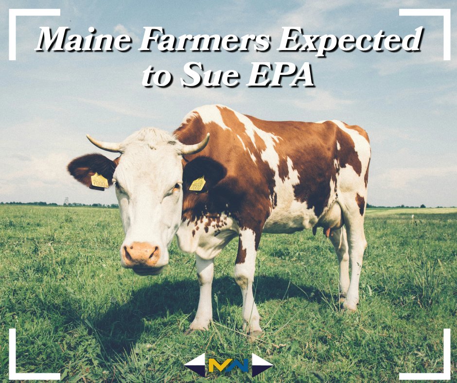 TheMaineWire's tweet photo. Maine farmers are expected to take legal action against the federal Environmental Protection Agency for the agency’s alleged failure to adequately address “forever chemical” contamination.
Our full story:
https://t.co/XNJom6zBT1 https://t.co/u1o2HybvqG