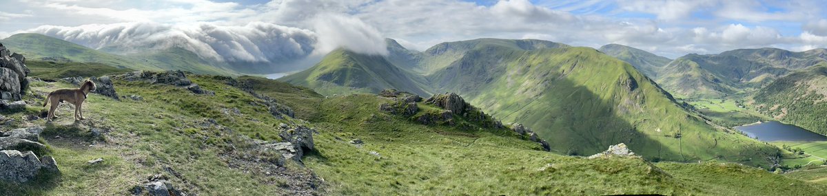 Think this one might be going on our wall 🐾🐾😊 #cumbria #lakedistrict #wainwrights #pano #needsaclick