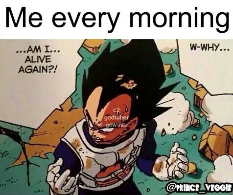 FapNightKrampus's tweet photo. Daily Life Of An Adult In 2024: https://t.co/qFqoP4cqta