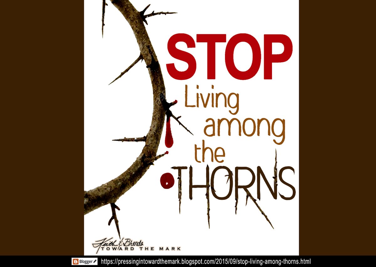 #STOPandSmellTheRoses #KeepPressingIn
Kick off the new week with a cup of coffee and the key answer to the question, 'Why did Jesus repeatedly warn His disciples of the pitfall of cares of this world?'
pressingintowardthemark.blogspot.com/2015/09/stop-l…
Avoid the thorns and always STOP to Smell the Roses!