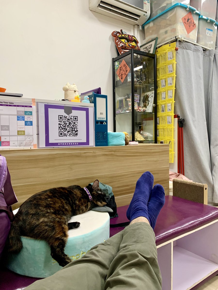 waidick's tweet image. Day7:廣東話寫tweet，我頂，個精神一下唔集中就閃親腰，好在唔係噚日演出緊整到，不過係架喇，太操勞喇，咩都自己跟哂，連啲唔要嘅佈景都自己攞去掉，條腰今日一彎就閃到⋯鬼叫你窮咩？做劇場就係咁，所以今日教完書，我就係咁攤咗喺度。
#d生活誌 #廣東話 #一日一tweet