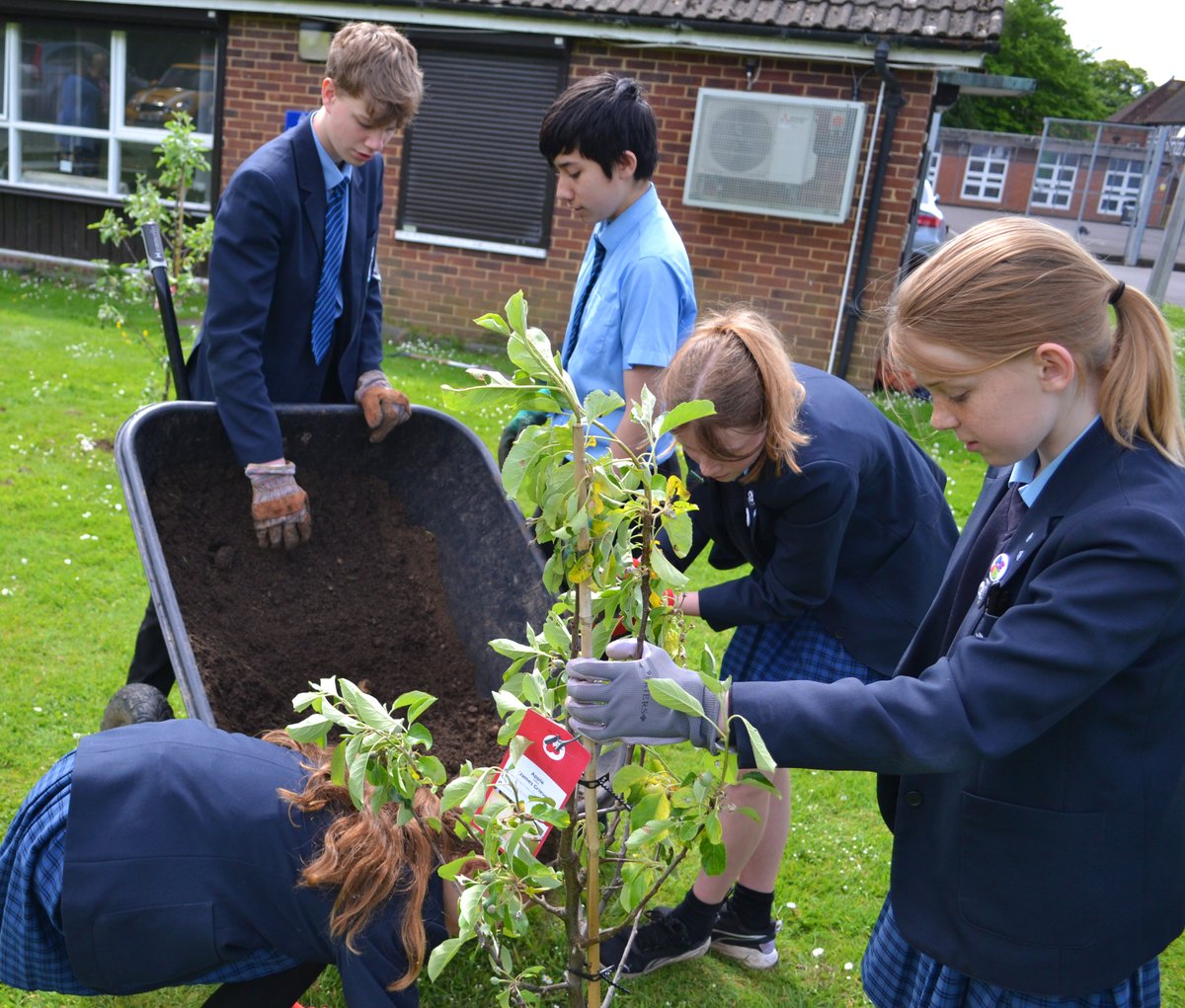 AmeryHillAlton's tweet photo. Students from our Eco-Union and Rights Respecting School Award groups have been busy planting our apple trees kindly donated by Forest Lodge @HaskinsGarden A massive thank you the team at #Haskins for helping! #educationforlife #outrightcampaign #climatechange #rrsa #ecounion https://t.co/4YUVLb2xIe