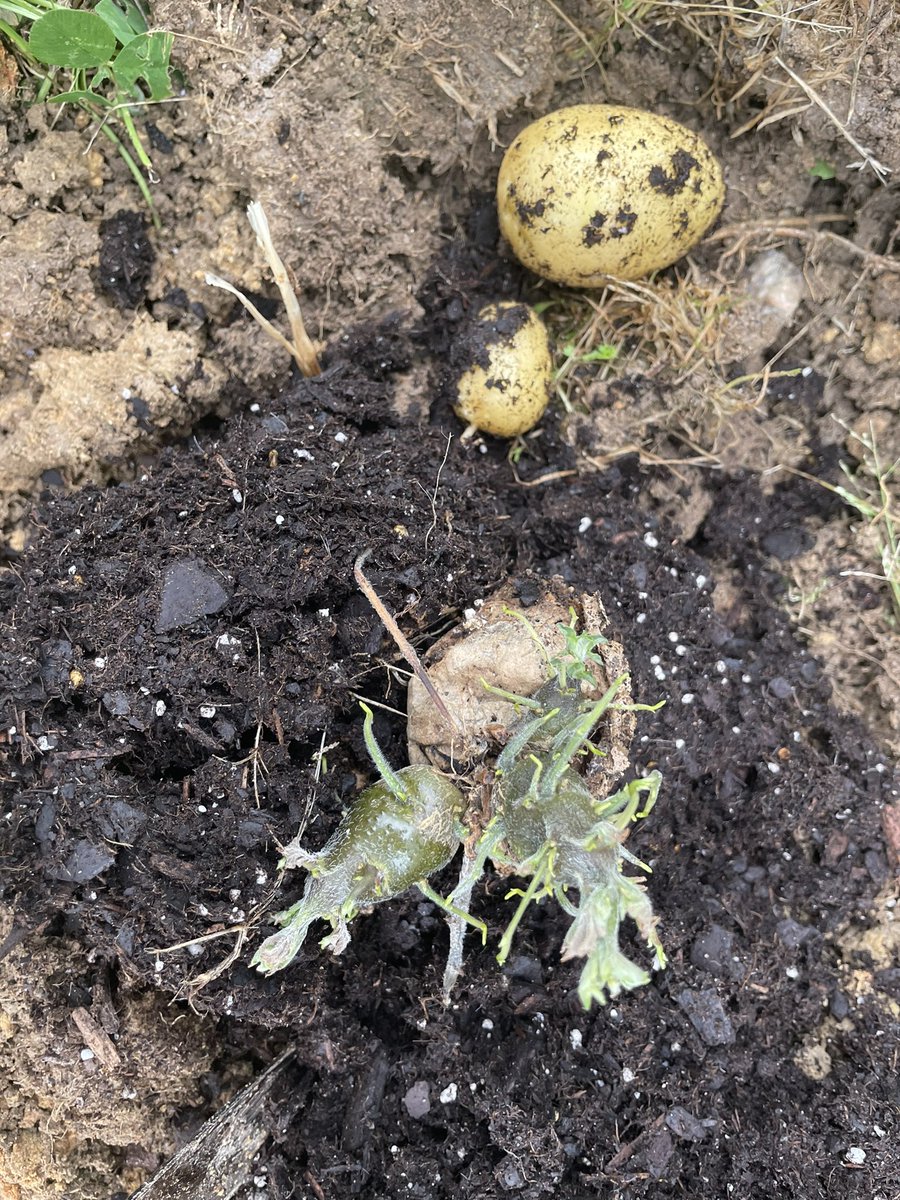 New Hope Elementary tweet media