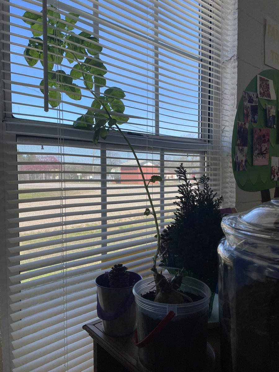 New Hope Elementary tweet media