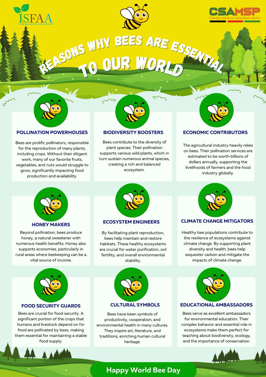 🐝🌍✨On this World Bee Day, let’s take a moment to appreciate these incredible insects. By supporting bee conservation efforts and promoting sustainable practices, we can ensure that bees continue to thrive and, in turn, support the health of our planet and people.🐝