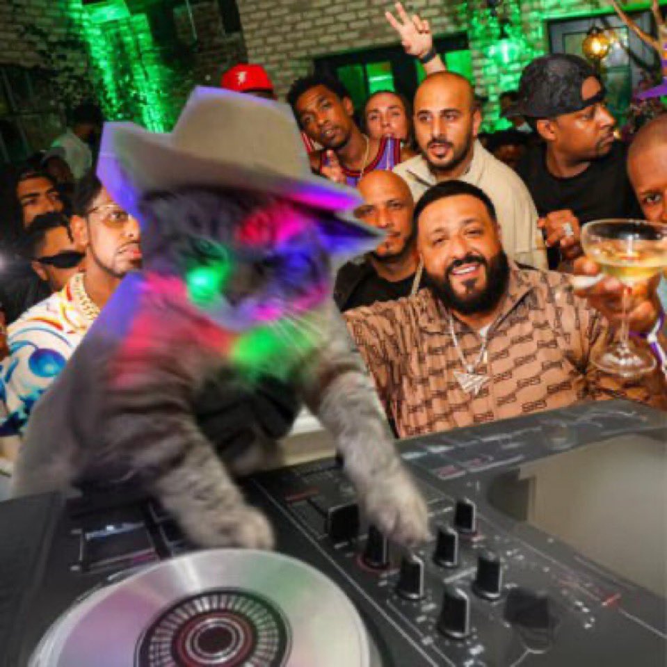 _Flayzzz's tweet photo. $DJCAT is a better meme than $keycat + it’s on a better blockchain 

I don’t make the rules https://t.co/kHPsduYjJt