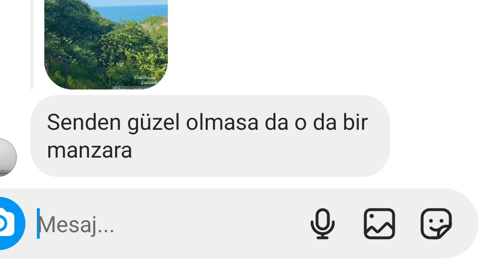 başkası olsa teşekkür eder geçersin de insan erkek kardeşinden iltifat alınca ne diyeceğini bilemiyo