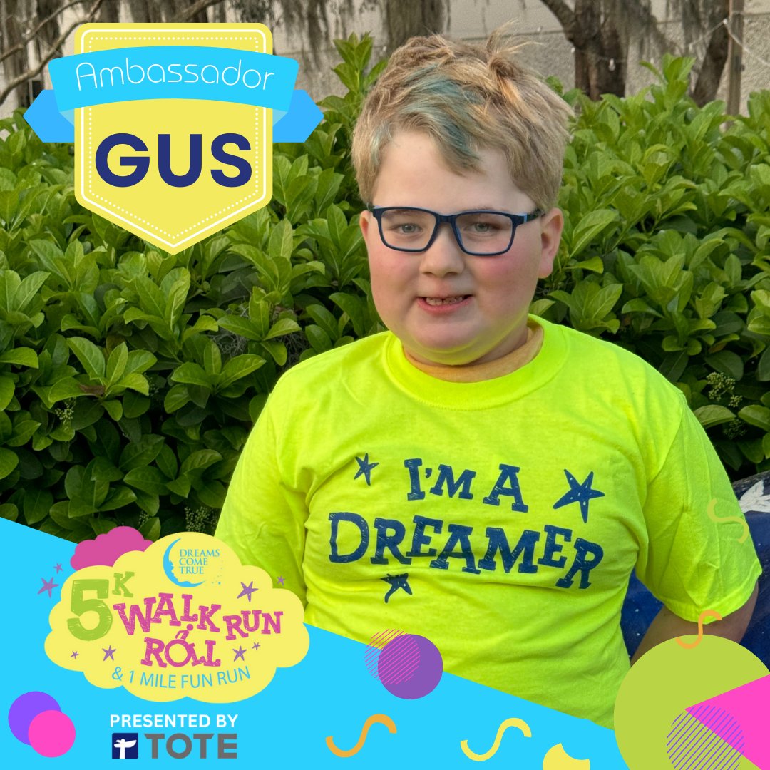 Dreams Come True tweet media