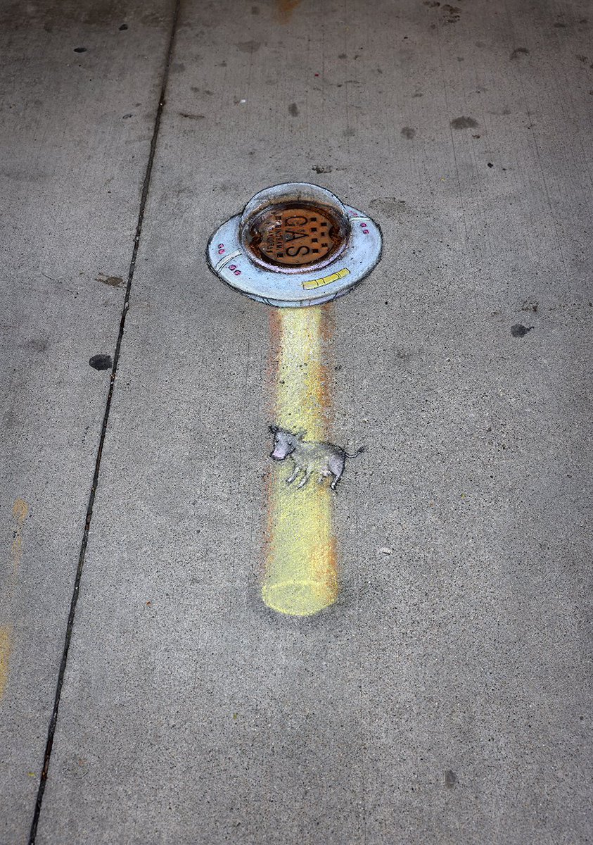 Daisy has another Friday night spoiled by intergalactic cowtippers. #StreetArt #SidewalkChalk #gascap #UFO #cow #pareidolia