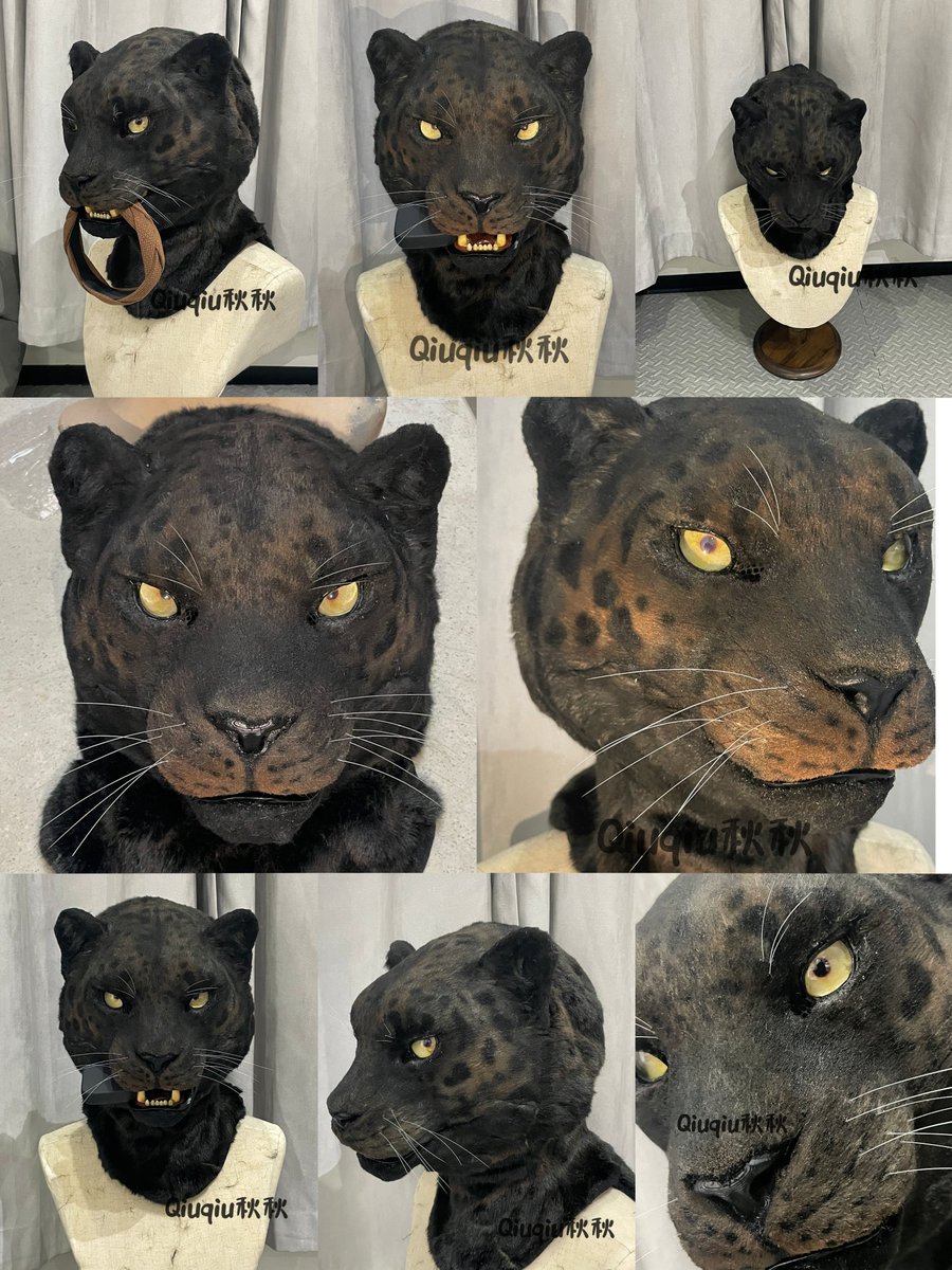 Hello everyone, this is an adoption message, ✂️produced by : @Qiuqiu1290. The adoption price  is $1,500, not including handling fees and international shipping. The size (vertical height from chin to top of head) is 26cm, and no limit on head circumference.
#fursuitforadopt
