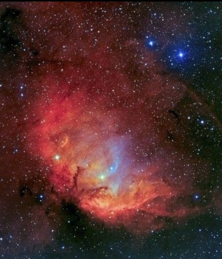 SH2-101 and The Cygnus X-1 Black Hole Shockfront (Kevin Morefield) - AstroBin  astrobin.com/ymltmc/D/?nc&n…