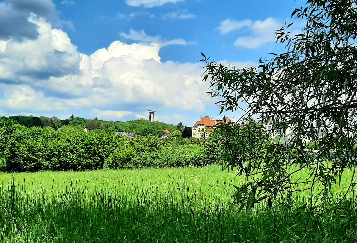 Nachmittagsgruss aus dem Vogtland...