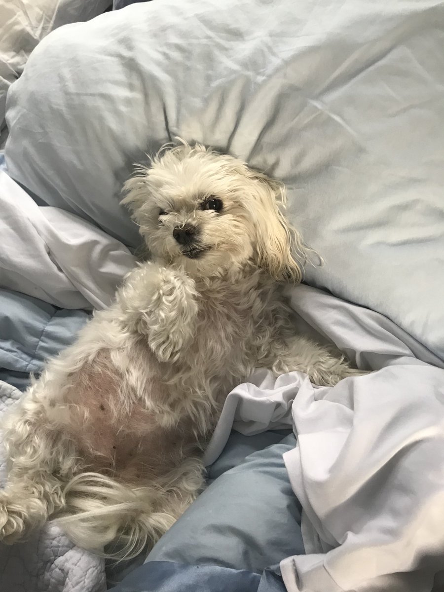 Jody Lynn (@jodylyn47789966) on Twitter photo 