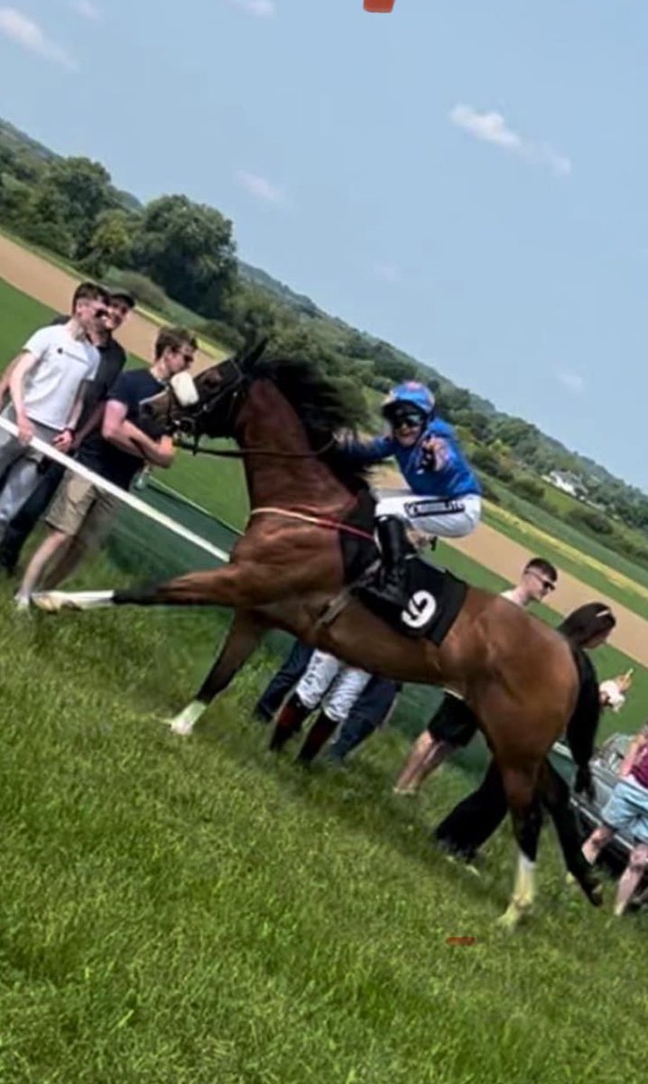 McnallyRonan's tweet photo. Another 4winners for #TubsMcNally yesterday at Vicarstown Races. #8from8 this season https://t.co/P4KBztffRW