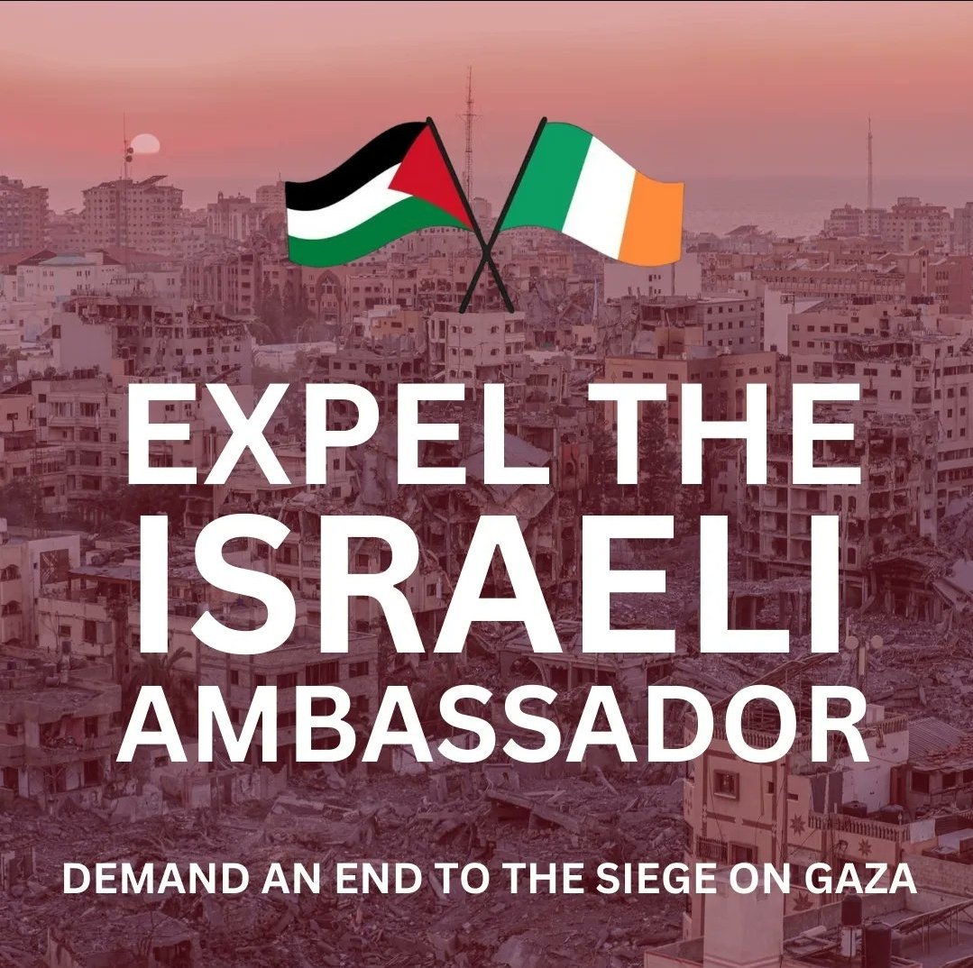 Expel Dana Elrich, empty the Isra#eli embassy and cut diplomatic ties with the Israeli entity NOW ✊️💚 #SaveGazaSaveHumanity