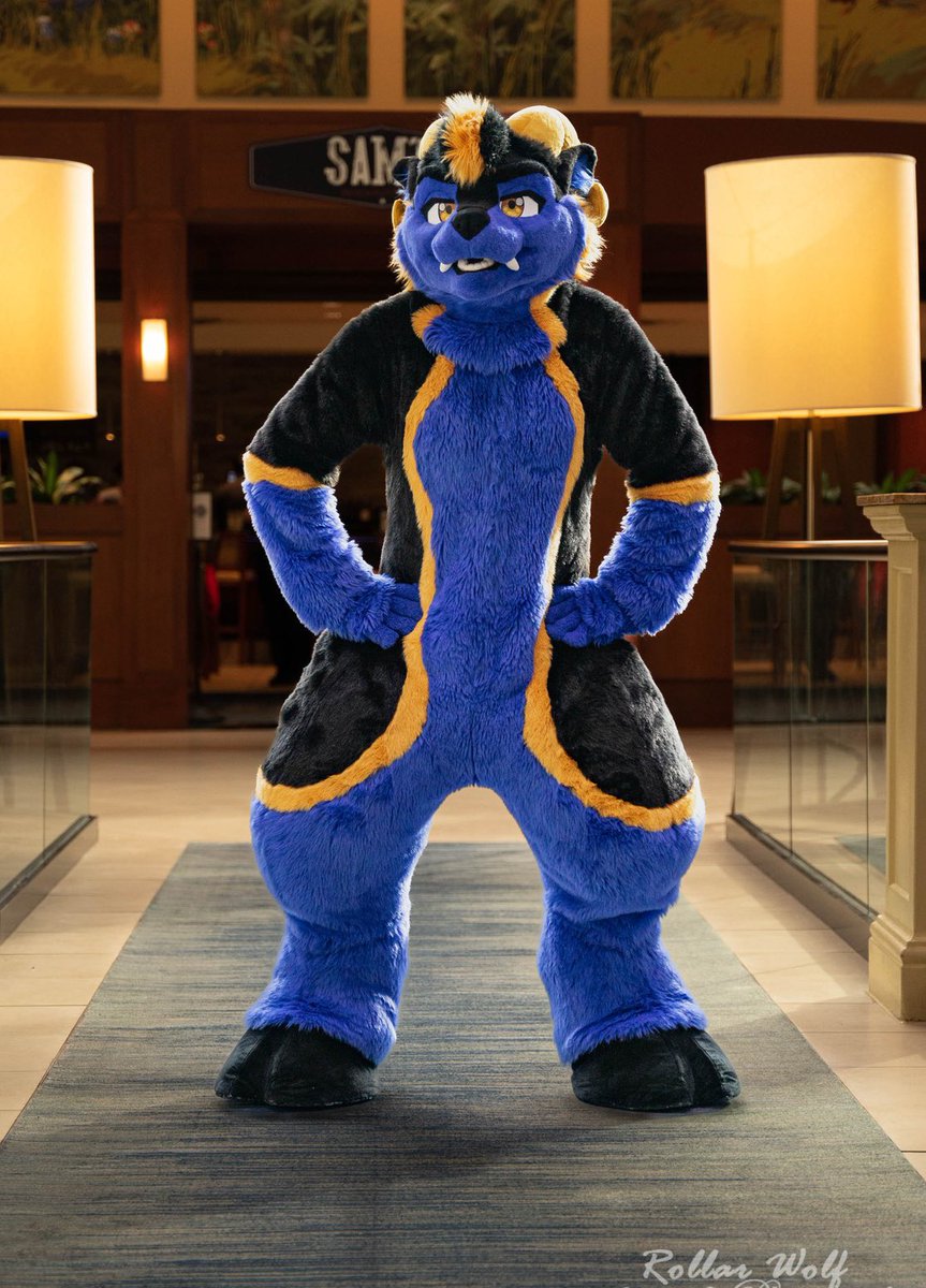 knoxx1616's tweet image. I don’t want to Monday!

📸: @rollarwolf 
🪡: @PJCatStudio