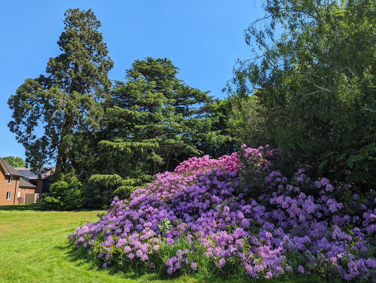 Glorious weather here at @CCT_Conferences High Leigh for the <a href="/churchofengland/">The Church of England</a> National Giving Conference. Really looking forward to a time of inspiration and encouragement.