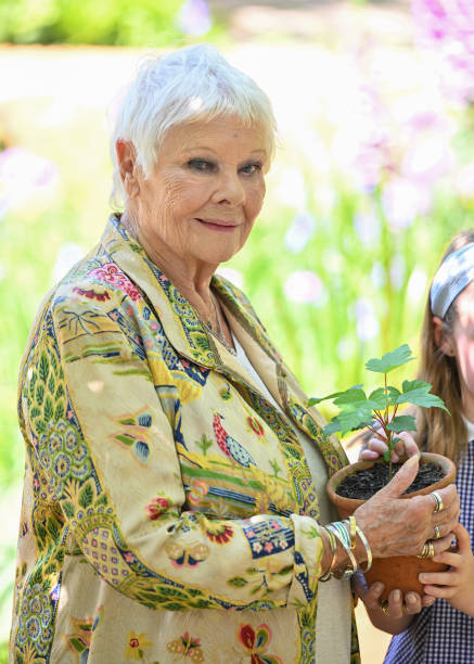 Chelsea Flower Show, 2024 Press Day Photographer: Jeff Spicer *presented with a seedling from the Sycamore Gap tree in the Octavia Hill Garden by Blue Diamond #JudiDench #ChelseaFlowerShow #OctaviaHillGarden