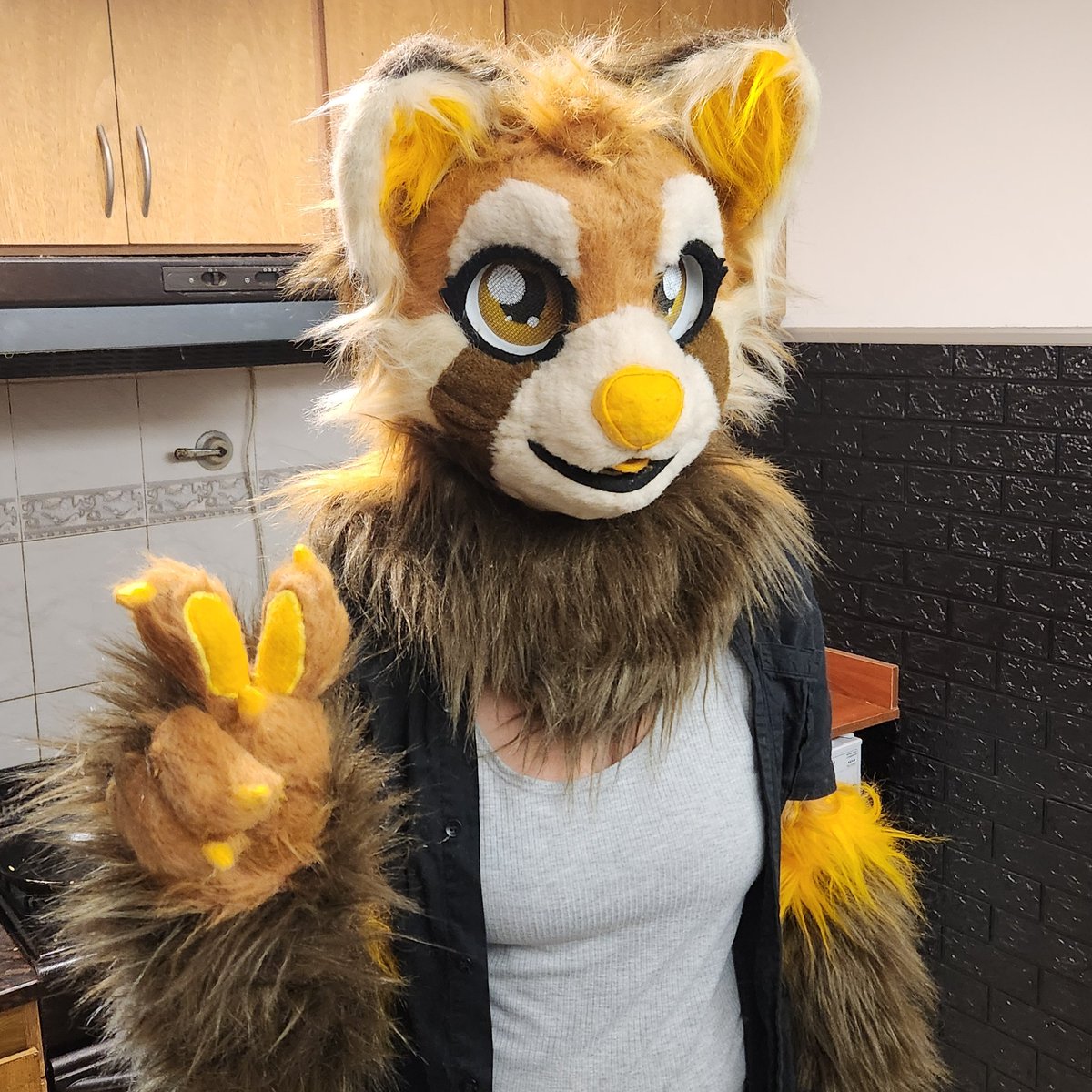 Hi there! Im Crafty Mike (Fedu for friends). I make fursuits and stuff, so follow me to see all my works and fun stuff i make along the way!! 
Enjoy <3