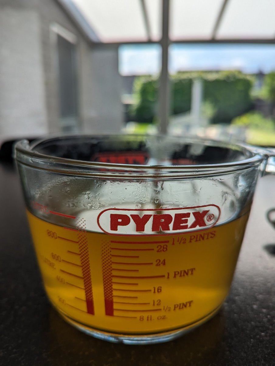 Liquid gold! だし汁 (dashi)