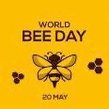 Happy World Bee day everyone! Let’s try harder to be a more bee friendly planet <a href="/bee_trust/">Bee Friendly Trust</a> <a href="/BeeNetwork/">Bee Network</a> <a href="/TDInBloom/">Thames Ditton In Bloom</a> <a href="/The_RHS/">The RHS</a>