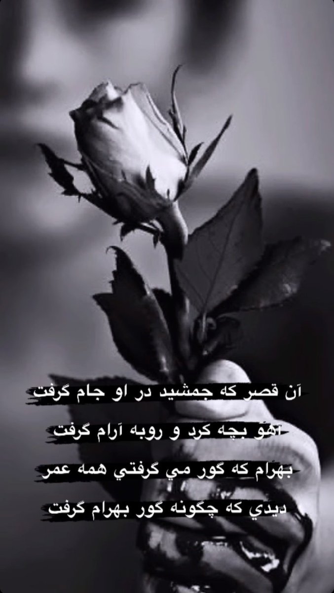 Maedeh8078's tweet photo. https://t.co/augC4XHLUM