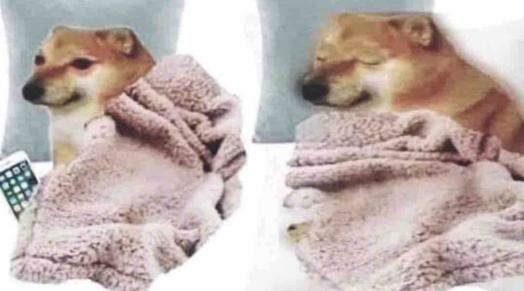 El Guarromántico tweet media