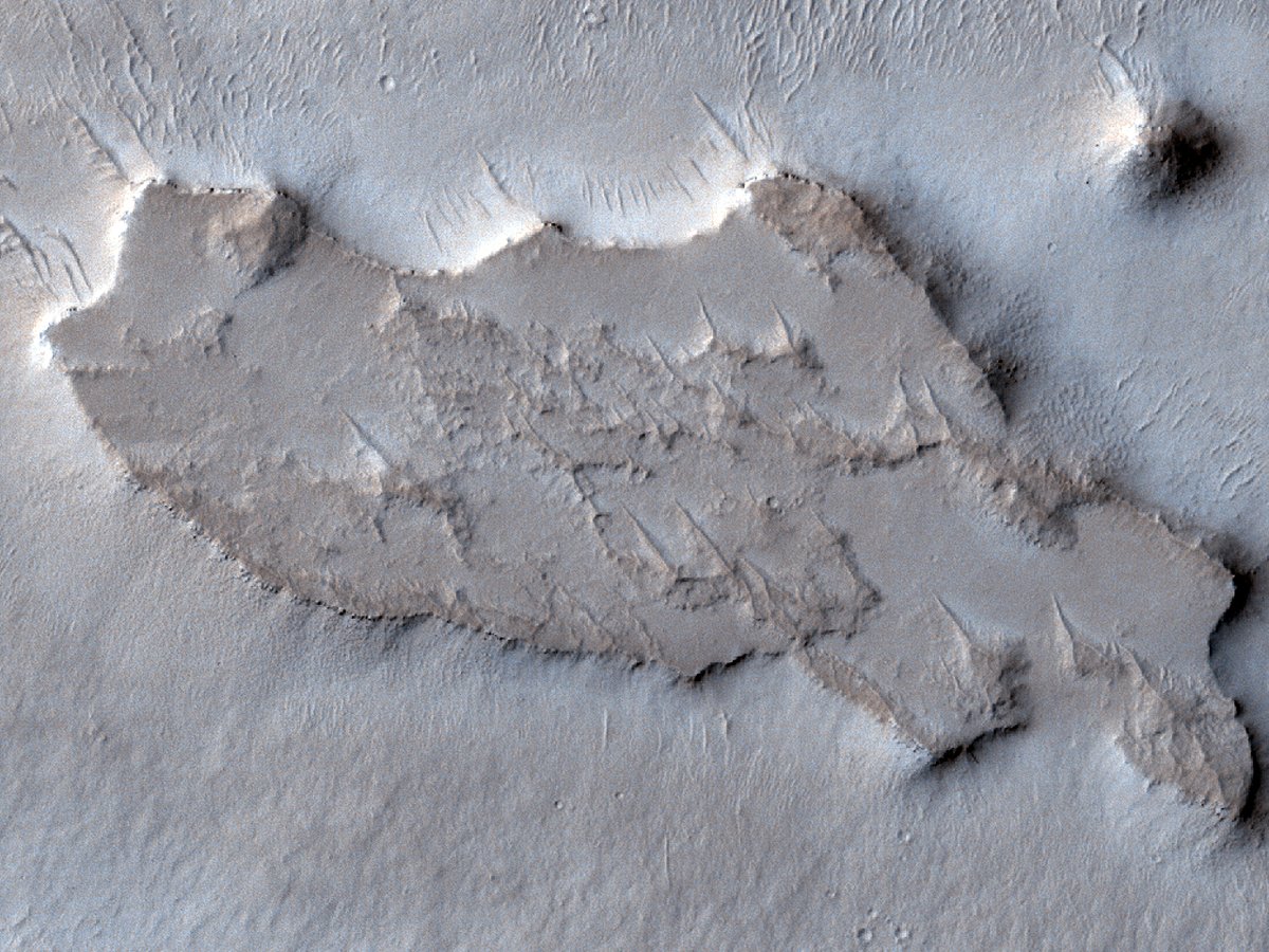 HiRISEPortugues's tweet photo. Mesa e morros testemunhos e cumes radiais na Arabia Terra central

número: ESP_052813_2035
data de aquisição: 01 novembro 2017
altitude: 285 km

https://t.co/H7Zx6aKpdq
NASA/JPL-Caltech/UArizona
#Marte #NASA #ciência #português https://t.co/AH1i7tdysp