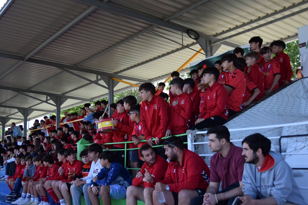 CP Vedruna tweet media