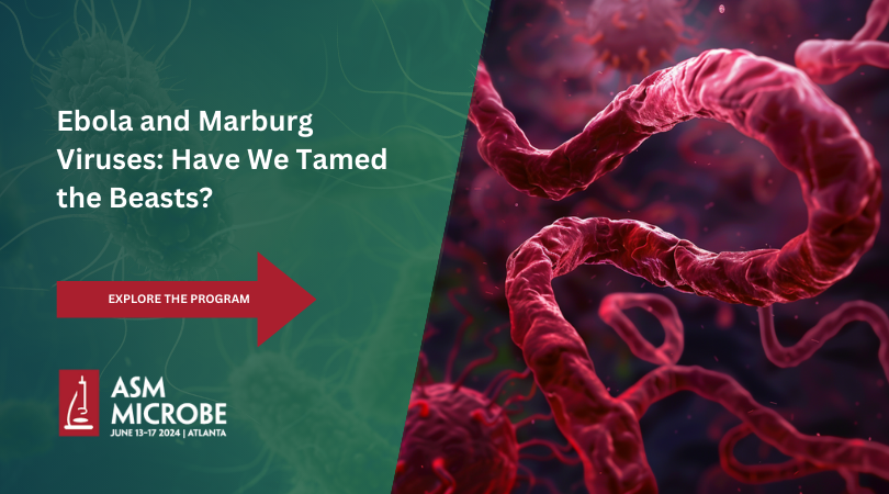 Join us at #ASMicrobe to learn about global efforts to understand & address Marburg virus, which poses a significant threat in our interconnected world. Stay informed, engaged and ready to tackle the challenges ahead—register now. asm.social/1Sf