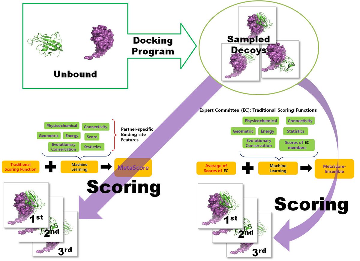 #HighlyCitedPaper Read now ➡️ 'MetaScore: A Novel Machine-Learning-Based Approach to Improve Traditional Scoring Functions for Scoring Protein–Protein Docking Conformations' by Vasant G. Honavar, et al. 👉 brnw.ch/21wJWZ6