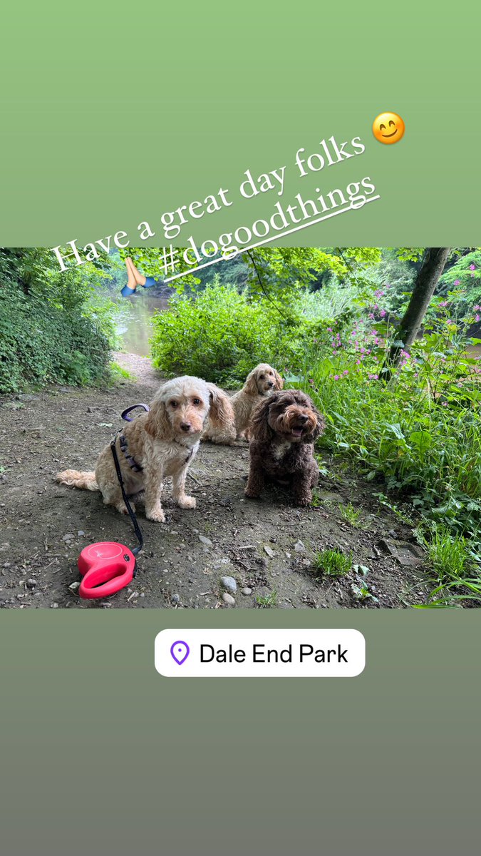 Have a great day folks 😊 #shoplocal