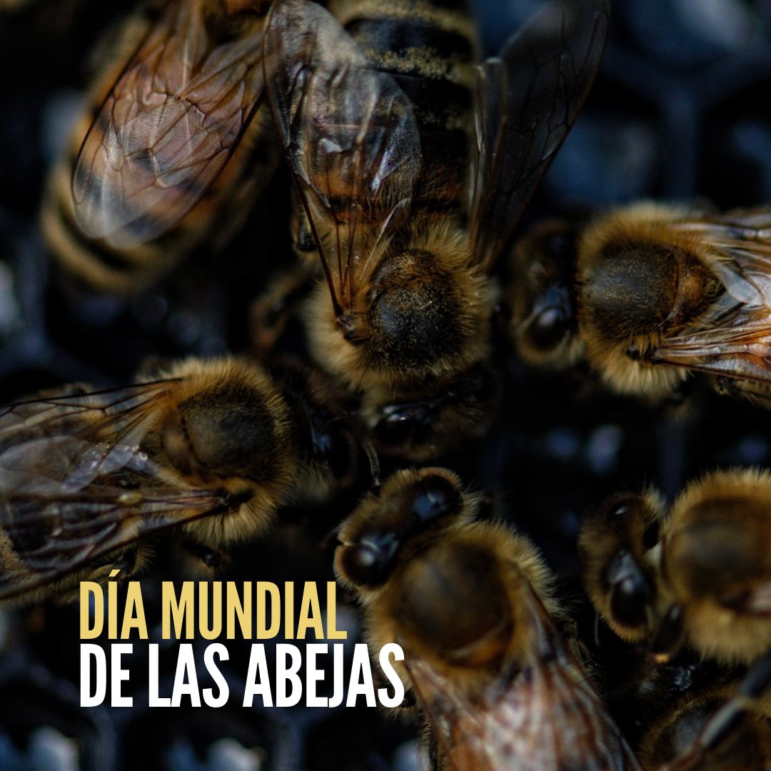 moja_mx tweet picture