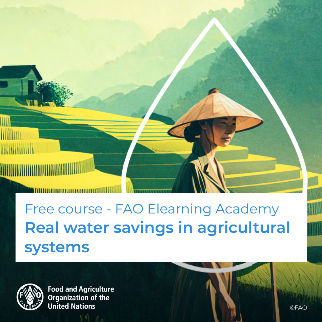 🎓 Free FAO elearning Academy course: Real water savings in agricultural systems 💧 Interventions, tools, and the real water savings in agricultural systems (REWAS) project, to provide practical guidance @FAOKnowledge Register now! ➡️ bit.ly/3ZKIy4n