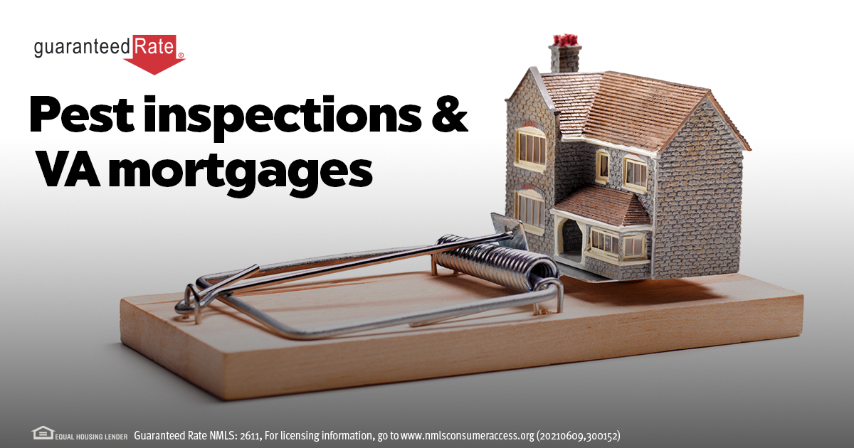 FinancingFitz's tweet photo. Your VA home loan likely requires a pest inspection. Will your new home pass the test? https://t.co/rJg72t1rEl https://t.co/5SirhQUHiZ
