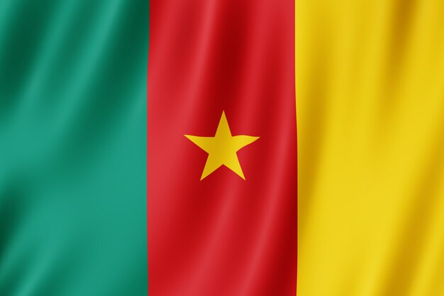 Amichou55's tweet photo. Le drapeau.                                   Le visage 
#20mai
@cameroun https://t.co/pOJEdB9aWG