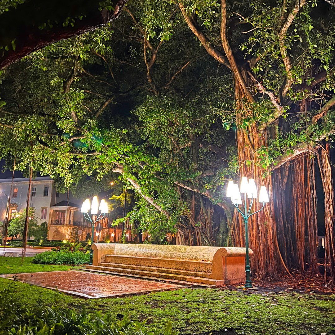 Embrace the beauty of #CoralGables, where every corner holds a surprise and every nook tells a story! 🌟