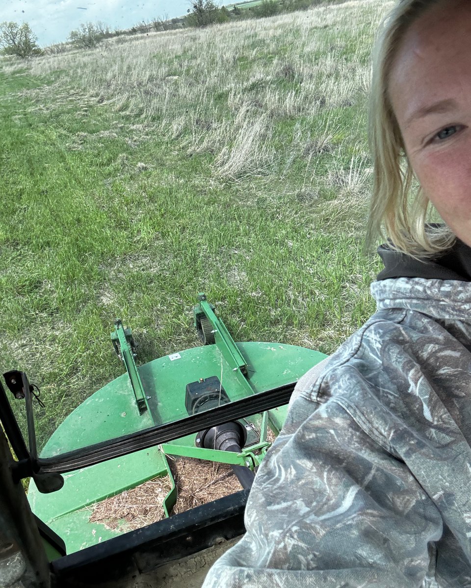 FemaleRancher's tweet photo. Getting Ready for a horse event.. June 7th hosting an Extreme trail Ride! 

#HorseEvent #ArenaFun #TrailRideAdventure #HorseCulture #EquestrianLife #OutdoorDiscovery #RidingStables #EquineEscapade #ArenaVibes #TrailsAndTales https://t.co/jLvwAcRw6F