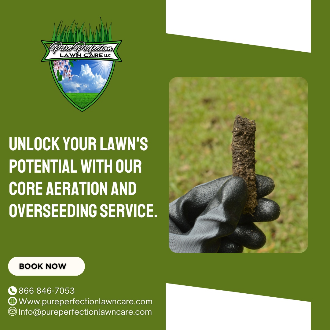Reach out to us for a consultation! 🌿 Let's give your lawn the breath of fresh air it deserves!

🌐 pureperfectionlawncare.com
📞 866 846-7053
📧 Info@pureperfectionlawncare.com

#PurePerfectionLawnCare #lawncare #landscaping #lawn #lawnmaintenance #landscape #gras
