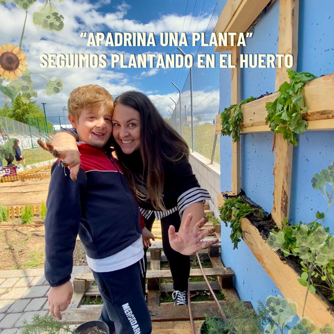 MercedariasTC's tweet photo. "Apadrina una planta" nos está dando momentos preciosos en el huerto del colegio. Gracias a las familias que nos acompañasteis en la fiesta del cole y gracias a todos los que hacéis posible que esto sea una realidad. #MercedSostenibilidad @ayto3cantos #pescm #IF_CMadrid @arba3c https://t.co/gLJncByv8Y