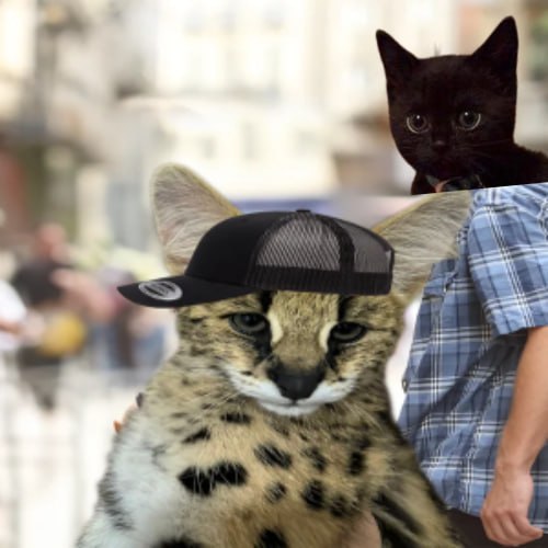 wantedserval's tweet photo. @wallstreetbets N what?  $SERVOL is the name 

https://t.co/WJyzlFeKsV https://t.co/QE8UWczRpa