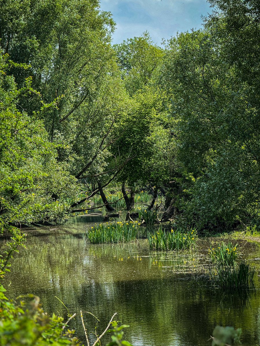 La Seine à Vélo, c’est aussi l’occasion de découvrir le patrimoine naturel exceptionnel des rives de Vernonnet ! 🌿🚴‍♂️ Arrêtez-vous un instant et profitez-en ! 🌞
