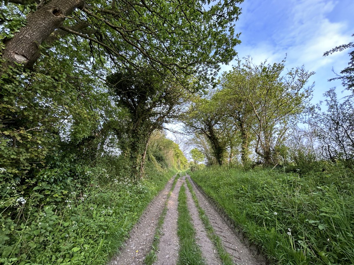 This is what the English 'countryside', as seen from a my feet looks like. Because it's green, I guess things look good. But look how empty of trains it is. Not a single bit of mass transit visible. Not one Massive swathes of our 'countryside' are just devoid of public transport.