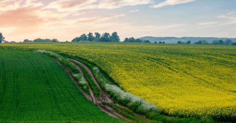 ArmstrongWatson's tweet photo. More than 75% of #farmers say they say feel under pressure to adapt and innovate to keep up with the ever-changing environment.

This was one of the key findings from the 118 farm businesses who responded to the latest Family and Owner-managed Business Survey...